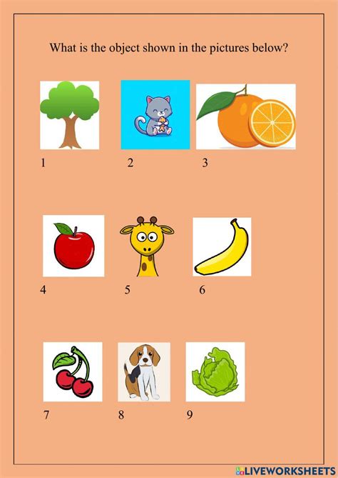 objects  nikmar liveworksheets