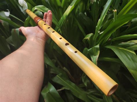 bamboo transverse flute  part bamboo  rosewood flute