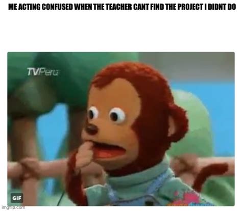 Shocked monkey puppet Memes - Imgflip