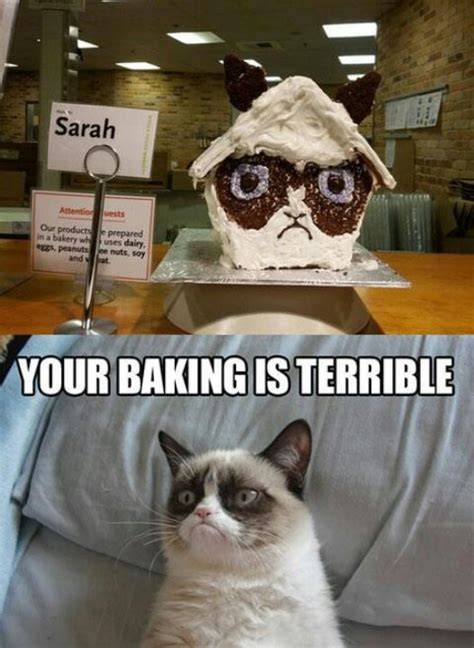 17 Best images about Grumpy cat cake on Pinterest | Grumpy cat quotes ...