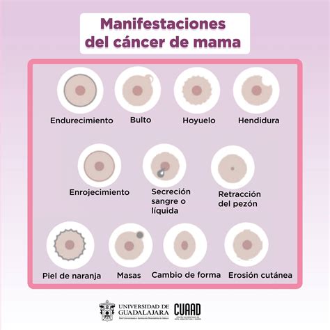 Un... - Centro Universitario de Arte, Arquitectura y Diseño | Facebook