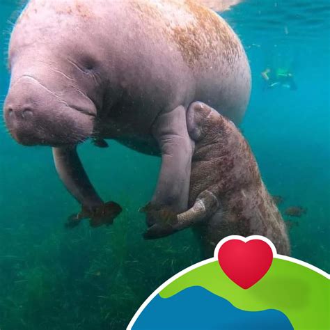 Tech startups are planning a new hub in Fort Pierce FL 2