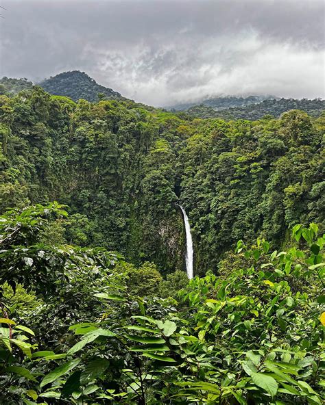 Stephanie V 🦋 (@_itsstephaniev) • Instagram photos and videos