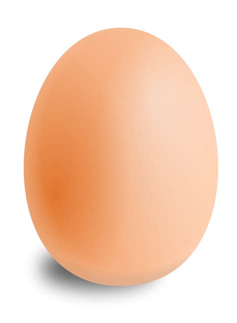 其他-Egg PNG image-4463-好图网