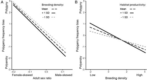 The evolution of sex roles: The importance of ecology and social ...