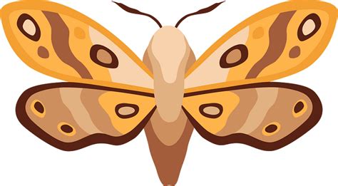 moth  vector clipart images  creazillacom