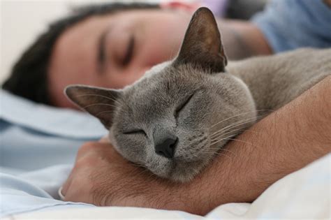 Difference Between Cuddle and Snuggle | Meaning, Connotations