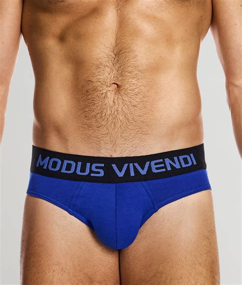 Modus Vivendi Classic Brief - Underwear Expert