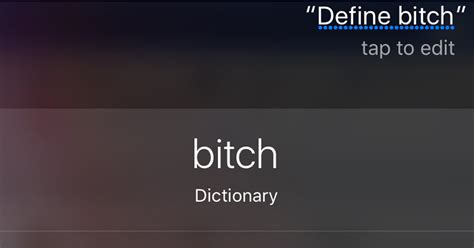 How Siri Defines the Word Bitch | POPSUGAR Tech