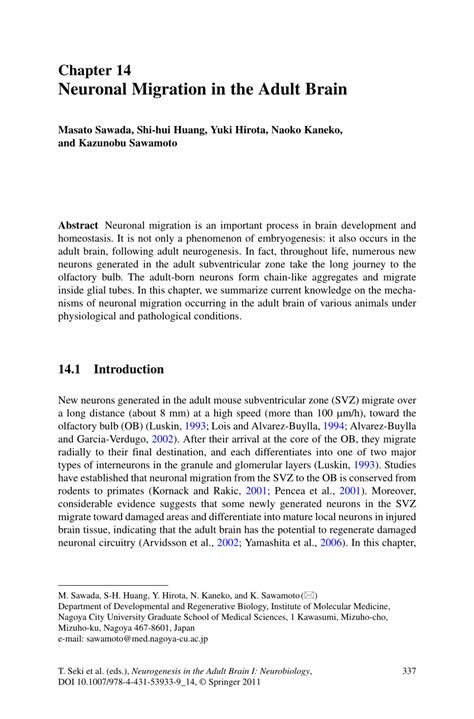 neuronal migration   adult brain