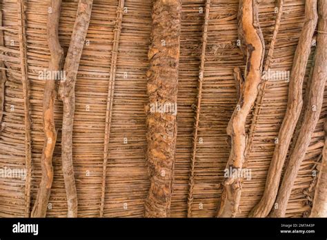 palm leaf  wood ceiling  al qasr village  dakhla oasis egypt