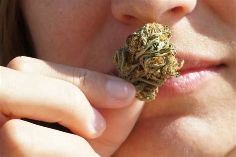 how to get the smell of weed out of clothes