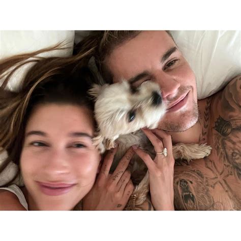 Which Family Does Dog Belong To
