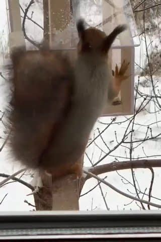 Во всём нужна сноровка и тренировка! - YouTube