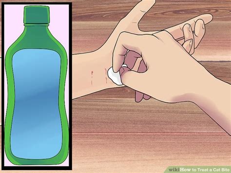 how to treat a cat bite at home