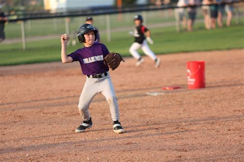 brandon minor baseball cancels season brandon sun