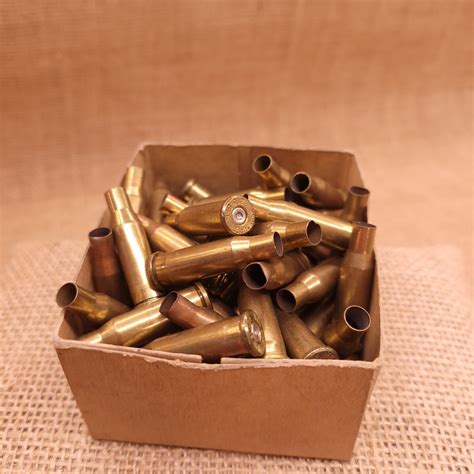 winchester  bee brass cases pack    arms  idaho llc