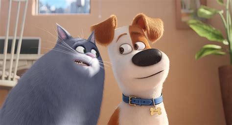 Personagens Do Filme Pets - Foto do filme Pets: A Vida Secreta dos Bichos - Foto 27 de 50 - AdoroCinema