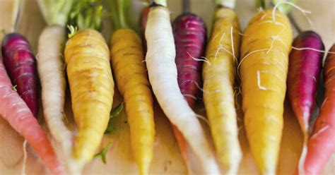 Root Vegetables: A List Of Veggies That Will Make Your Meals Better ...