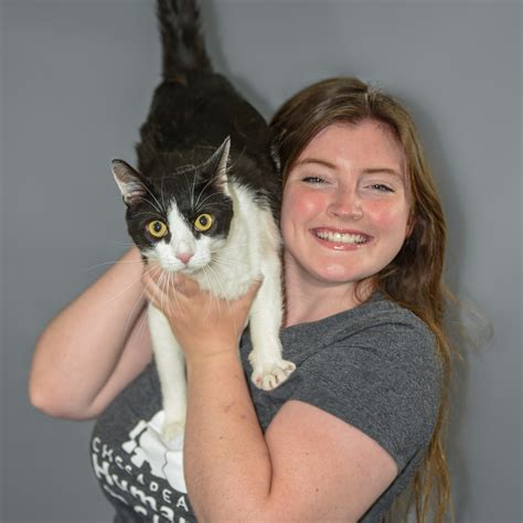 Chesapeake Humane Society Chesapeake Va 5