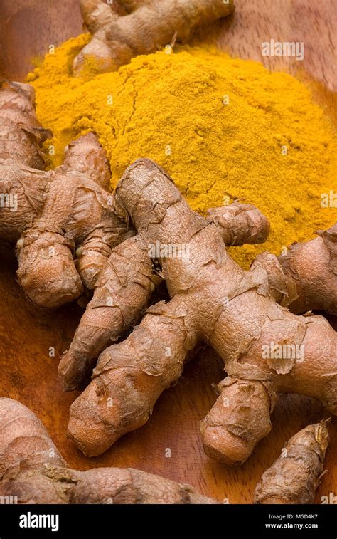 turmeric spice plant