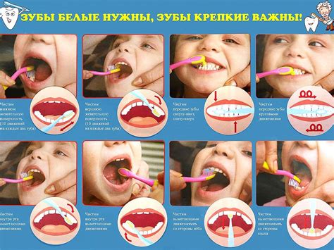Картинки как правильно чистить зубы картинки для детей