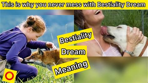 bestiality dream meaning  dreaming  deep  secret meaning