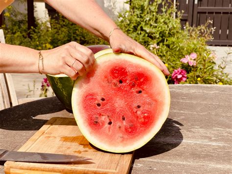 How to Grow Watermelons - 7 Essential Tips - Garden Gnome Academy