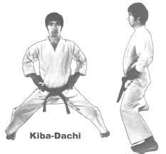 Stance Kihon Shotokan Style : Learning Karate At Home (1.1.1 ...