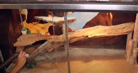 how to clean reptile tank