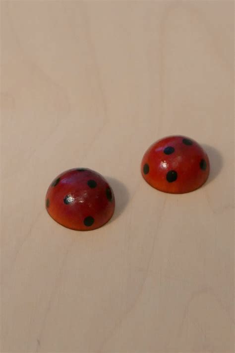 Ladybugs | House of RoRo
