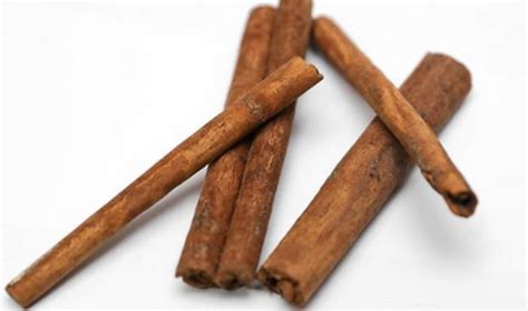 cinnamon efrata global resource