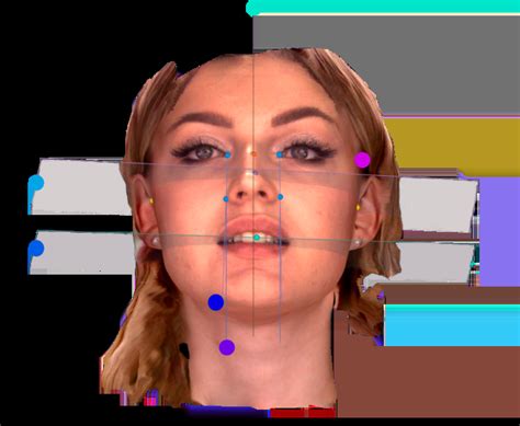 RAYFace
