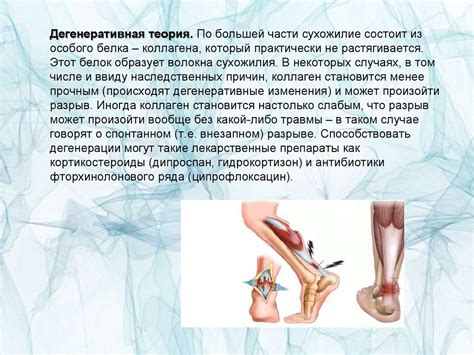 Разрыв ахиллова сухожилия - презентация онлайн