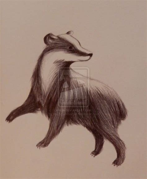 Hufflepuff Badger by wolfiesofthenight.deviantart.com on ... | Badger ...