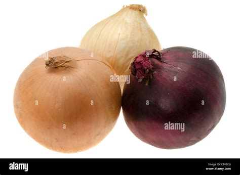 Onion varieties Cut Out Stock Images & Pictures - Alamy