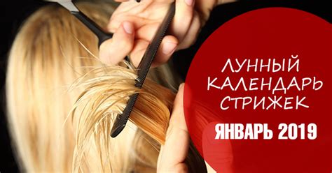 Календарь стрижек на январь 2019 - благоприятные дни
