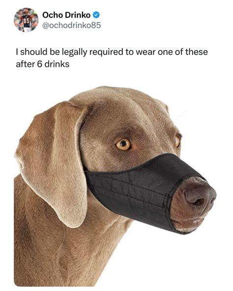 moistbuddha | The more you know (twitter: wobblymami) | Instagram