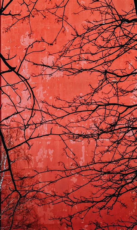 Russian+Bare+Naturist Photos, Download The BEST Free Russian+Bare