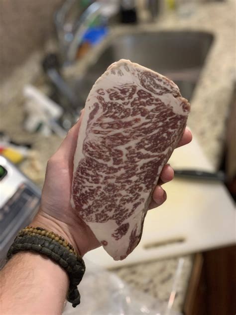 Best $40 I have ever spent | Scrolller