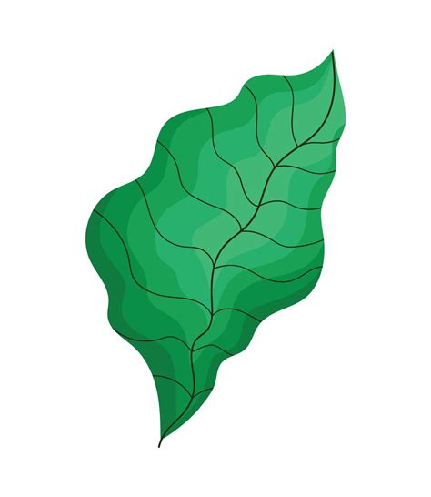 leave plant foliage 14480728 Vector Art at Vecteezy