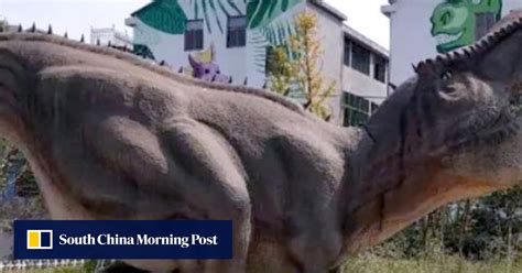 Dinosaur eggs unearthed in Chinese city with history of the giant ...