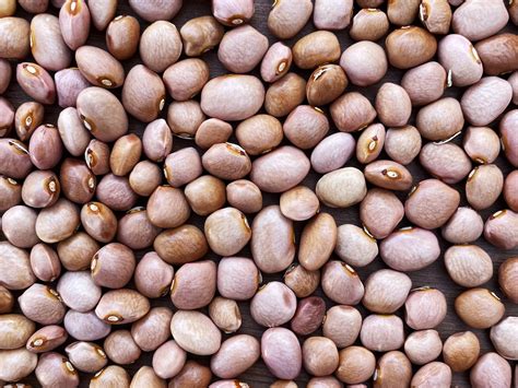 blue house farm strawberry u pick and farmstand 11