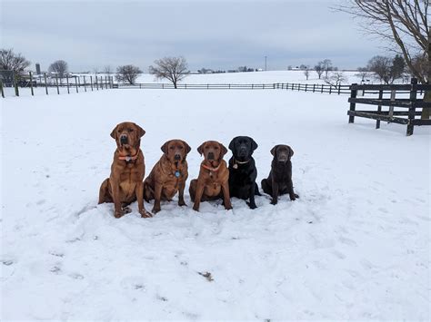 Eden West Salon - Eden West Salon added a new photo — at...