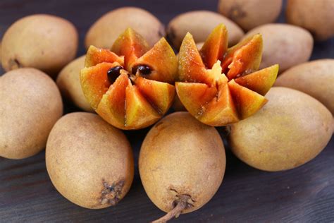 buah ciku manis   pilih  tak kelat berbiji keras