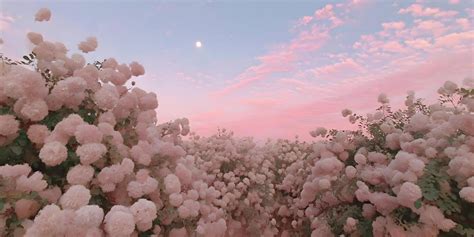 aesthetic moon stock  images  backgrounds