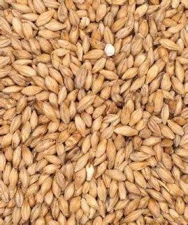 pilsner malt   home brewers shop