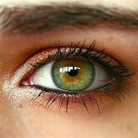 Болотные глаза - фото и картинки: 65 штук