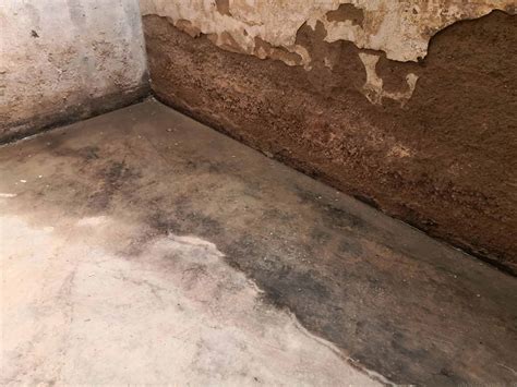 Draining and waterproofing basements: Effective measures against