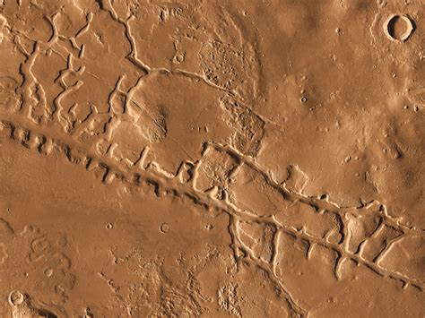 galaxias fossae clicking   image      high